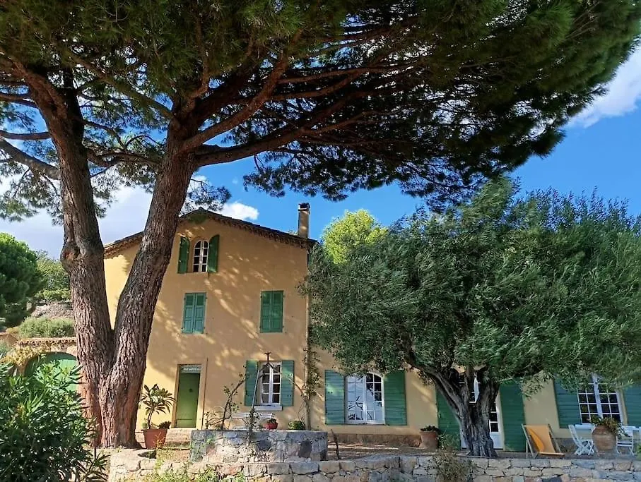 Breathtaking View Total Calm 12 Guests Villa Ollioules
