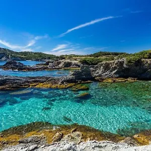 Vacances Idéales Limite Sanary Sur Mer !! Logement Partagé Shared Ollioules