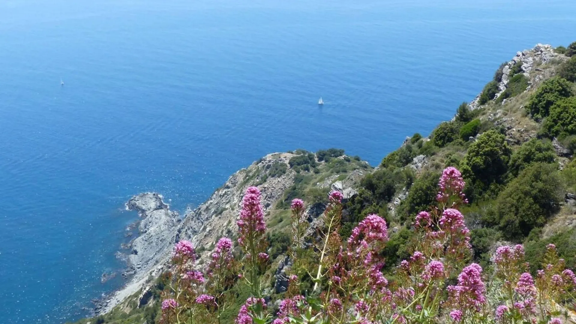 Breathtaking View Total Calm 12 Guests Villa Ollioules 0*,  France